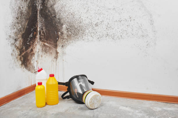 Winsted, CT Mold Remediation Company