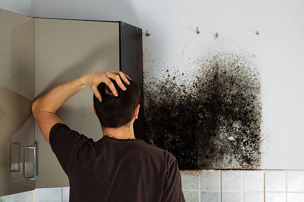 Best Bathroom Mold Remediation in Winsted, CT